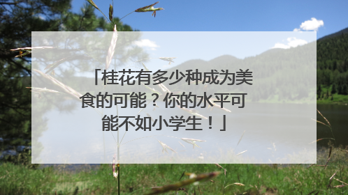 桂花有多少种成为美食的可能？你的水平可能不如小学生！