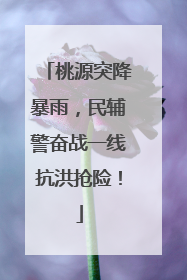 桃源突降暴雨，民辅警奋战一线抗洪抢险！