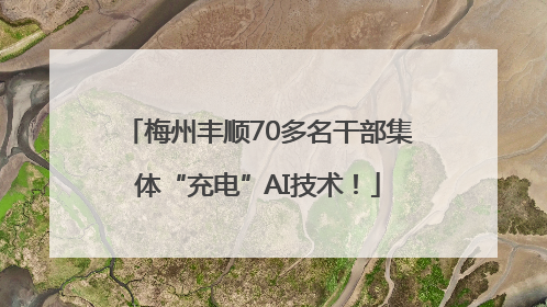 梅州丰顺70多名干部集体“充电”AI技术！