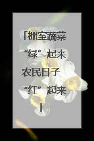 棚室蔬菜“绿”起来 农民日子“红”起来