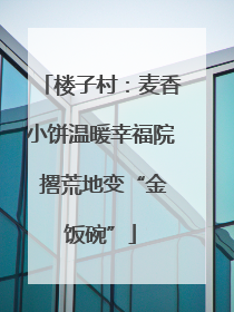 楼子村：麦香小饼温暖幸福院 撂荒地变“金饭碗”
