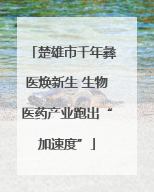 楚雄市千年彝医焕新生 生物医药产业跑出“加速度”