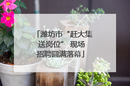 潍坊市“赶大集 送岗位” 现场招聘圆满落幕