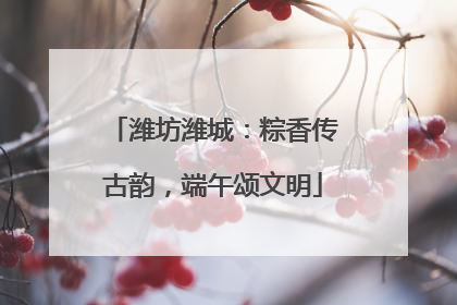 潍坊潍城：粽香传古韵，端午颂文明