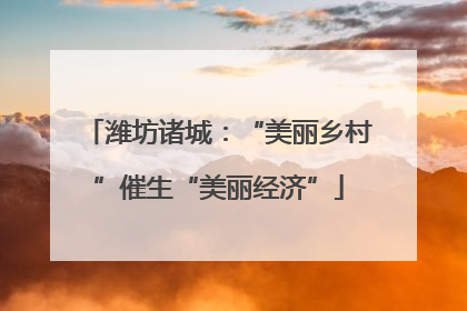 潍坊诸城：“美丽乡村”催生“美丽经济”