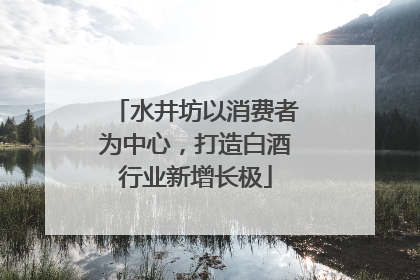 水井坊以消费者为中心，打造白酒行业新增长极