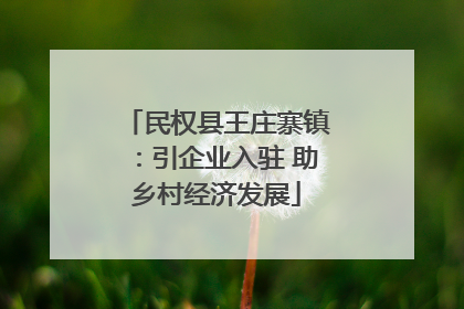 民权县王庄寨镇：引企业入驻 助乡村经济发展