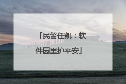 民警任凯：软件园里护平安
