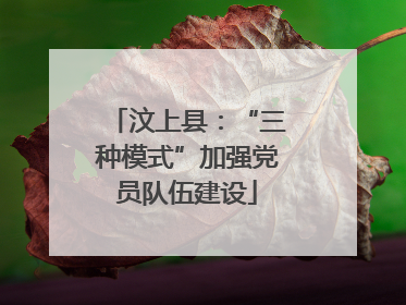 汶上县：“三种模式”加强党员队伍建设