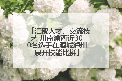 汇聚人才、交流技艺 川南渝西近300名选手在酒城泸州展开技能比拼