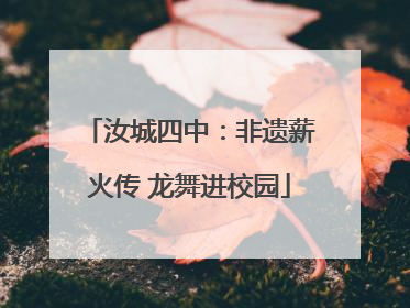 汝城四中：非遗薪火传 龙舞进校园
