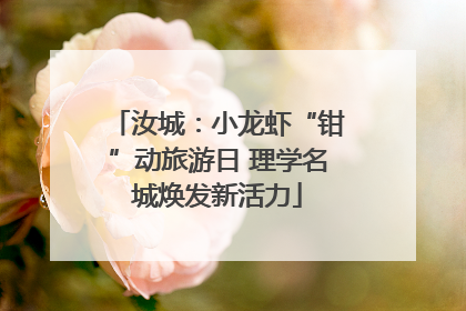 汝城：小龙虾“钳”动旅游日 理学名城焕发新活力
