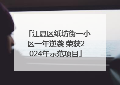 江夏区纸坊街一小区一年逆袭 荣获2024年示范项目