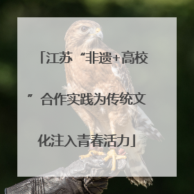 江苏“非遗+高校”合作实践为传统文化注入青春活力
