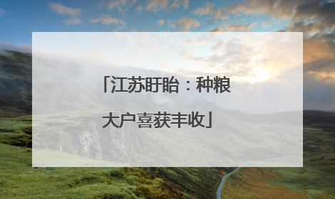 江苏盱眙：种粮大户喜获丰收