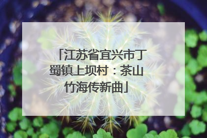 江苏省宜兴市丁蜀镇上坝村：茶山竹海传新曲