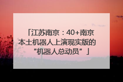 江苏南京：40+南京本土机器人上演现实版的“机器人总动员”