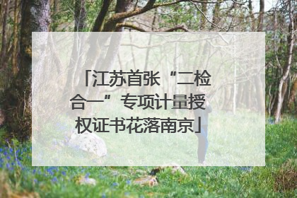 江苏首张“二检合一”专项计量授权证书花落南京