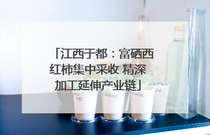 江西于都：富硒西红柿集中采收 精深加工延伸产业链