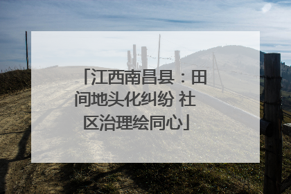 江西南昌县：田间地头化纠纷 社区治理绘同心