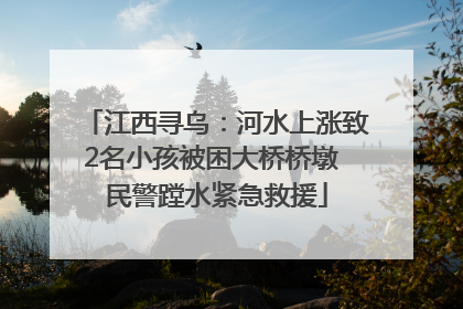 江西寻乌：河水上涨致2名小孩被困大桥桥墩 民警蹚水紧急救援