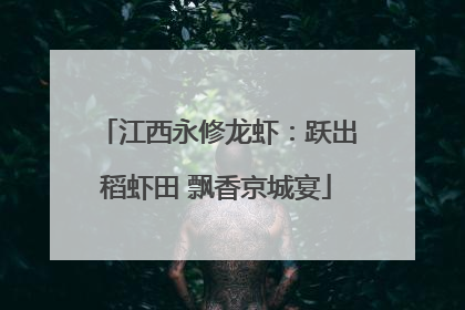 江西永修龙虾：跃出稻虾田 飘香京城宴