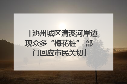 池州城区清溪河岸边现众多“梅花桩” 部门回应市民关切