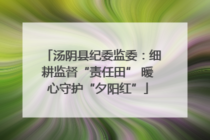 汤阴县纪委监委：细耕监督“责任田” 暖心守护“夕阳红”