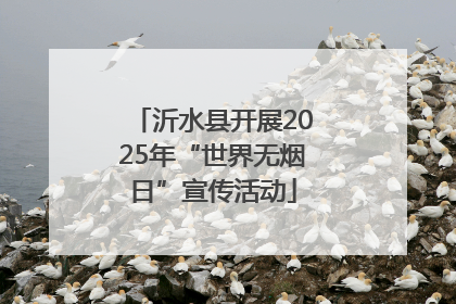 沂水县开展2025年“世界无烟日”宣传活动