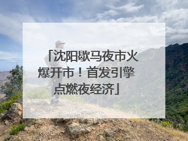 沈阳歇马夜市火爆开市！首发引擎点燃夜经济