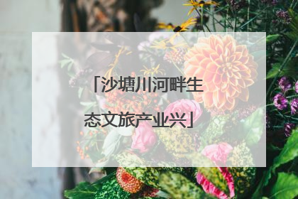沙塘川河畔生态文旅产业兴
