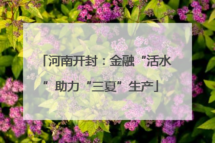 河南开封：金融“活水”助力“三夏”生产
