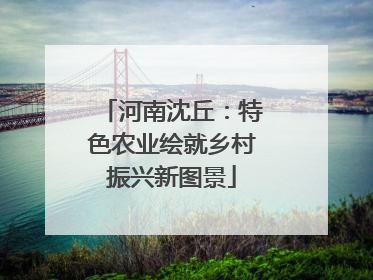 河南沈丘：特色农业绘就乡村振兴新图景