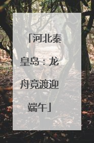 河北秦皇岛：龙舟竞渡迎端午