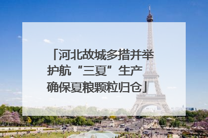 河北故城多措并举护航“三夏”生产 确保夏粮颗粒归仓