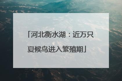 河北衡水湖：近万只夏候鸟进入繁殖期