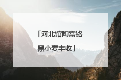 河北馆陶富铬黑小麦丰收