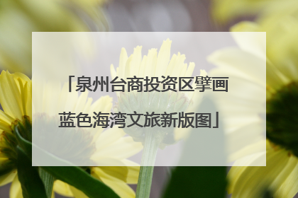 泉州台商投资区擘画蓝色海湾文旅新版图