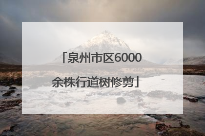 泉州市区6000余株行道树修剪