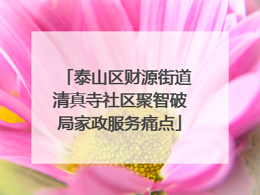 泰山区财源街道清真寺社区聚智破局家政服务痛点