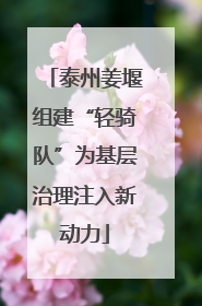 泰州姜堰组建“轻骑队”为基层治理注入新动力