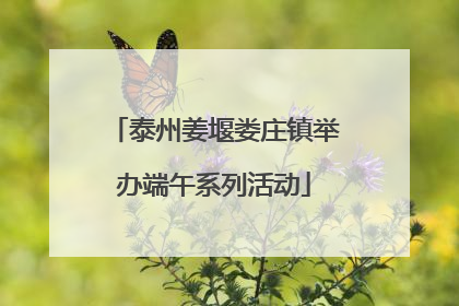 泰州姜堰娄庄镇举办端午系列活动