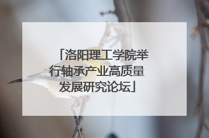 洛阳理工学院举行轴承产业高质量发展研究论坛