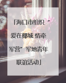海口市组织“爱在椰城 情牵军营”军地青年联谊活动