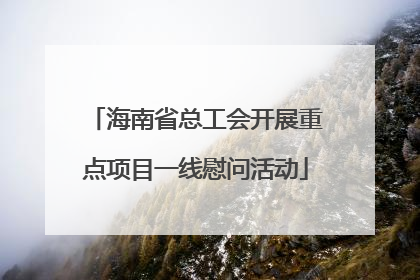 海南省总工会开展重点项目一线慰问活动