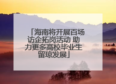 海南将开展百场访企拓岗活动 助力更多高校毕业生留琼发展