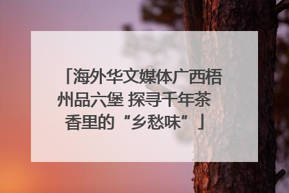 海外华文媒体广西梧州品六堡 探寻千年茶香里的“乡愁味”