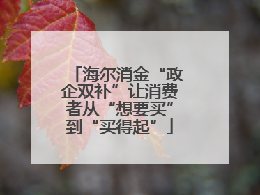 海尔消金“政企双补”让消费者从“想要买”到“买得起”