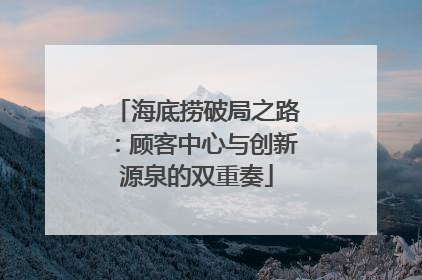 海底捞破局之路：顾客中心与创新源泉的双重奏