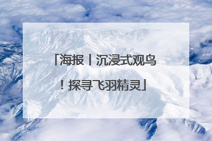 海报丨沉浸式观鸟！探寻飞羽精灵